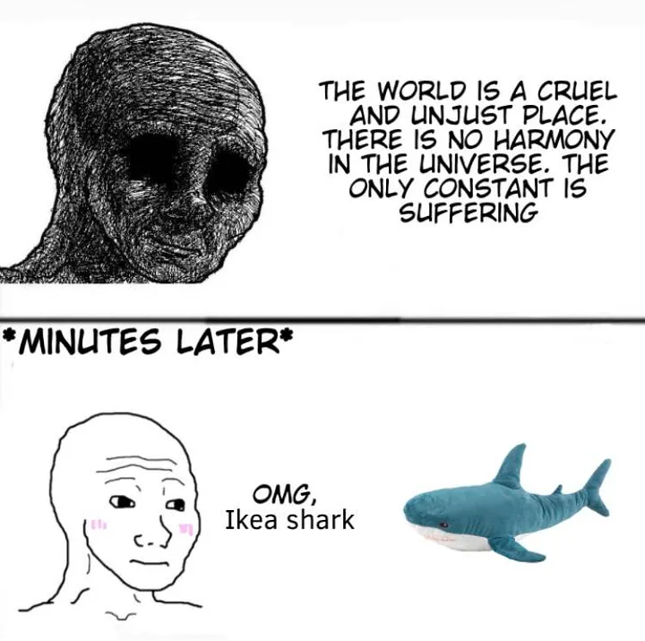 Meme 11